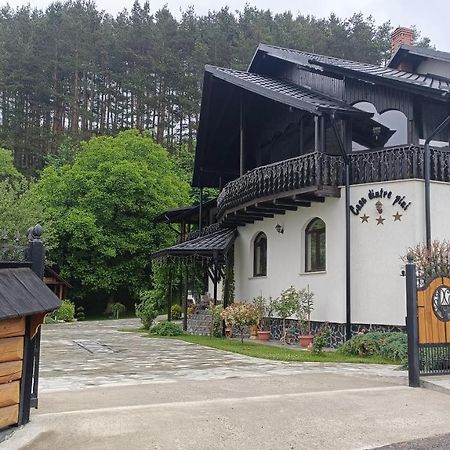 Casa Dintre Pini Villa Păltinoasa Kültér fotó