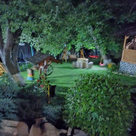 Casa Dintre Pini Villa Păltinoasa Kültér fotó