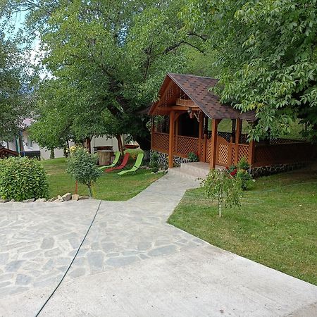 Casa Dintre Pini Villa Păltinoasa Kültér fotó