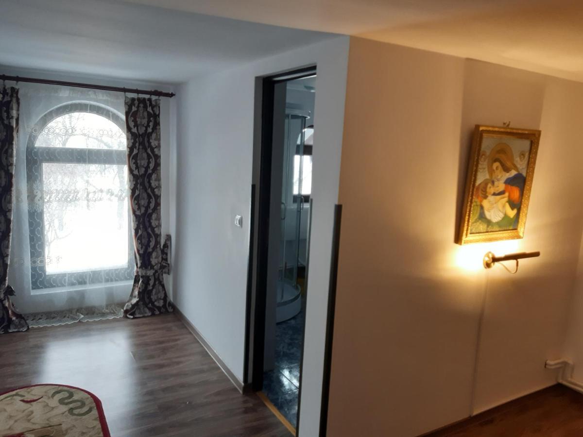 Casa Dintre Pini Villa Păltinoasa Kültér fotó