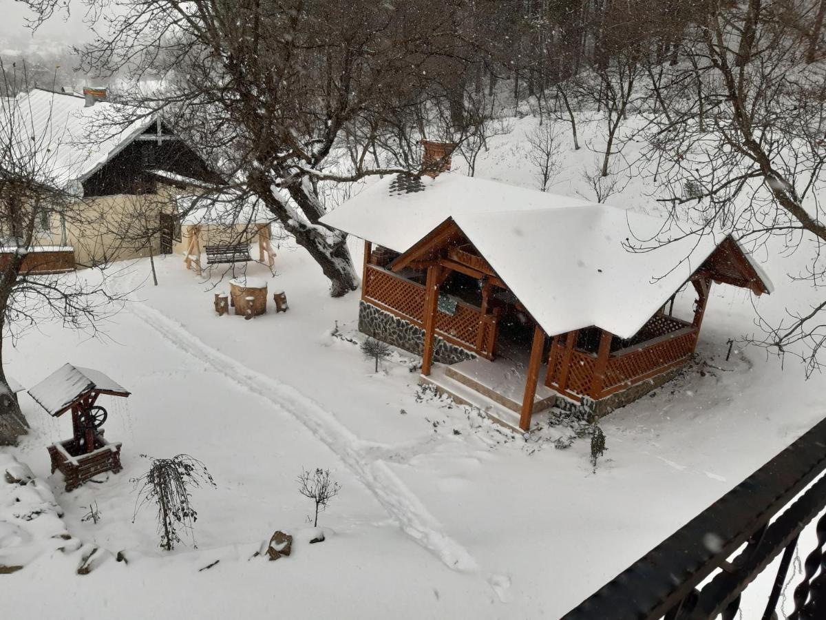Casa Dintre Pini Villa Păltinoasa Kültér fotó