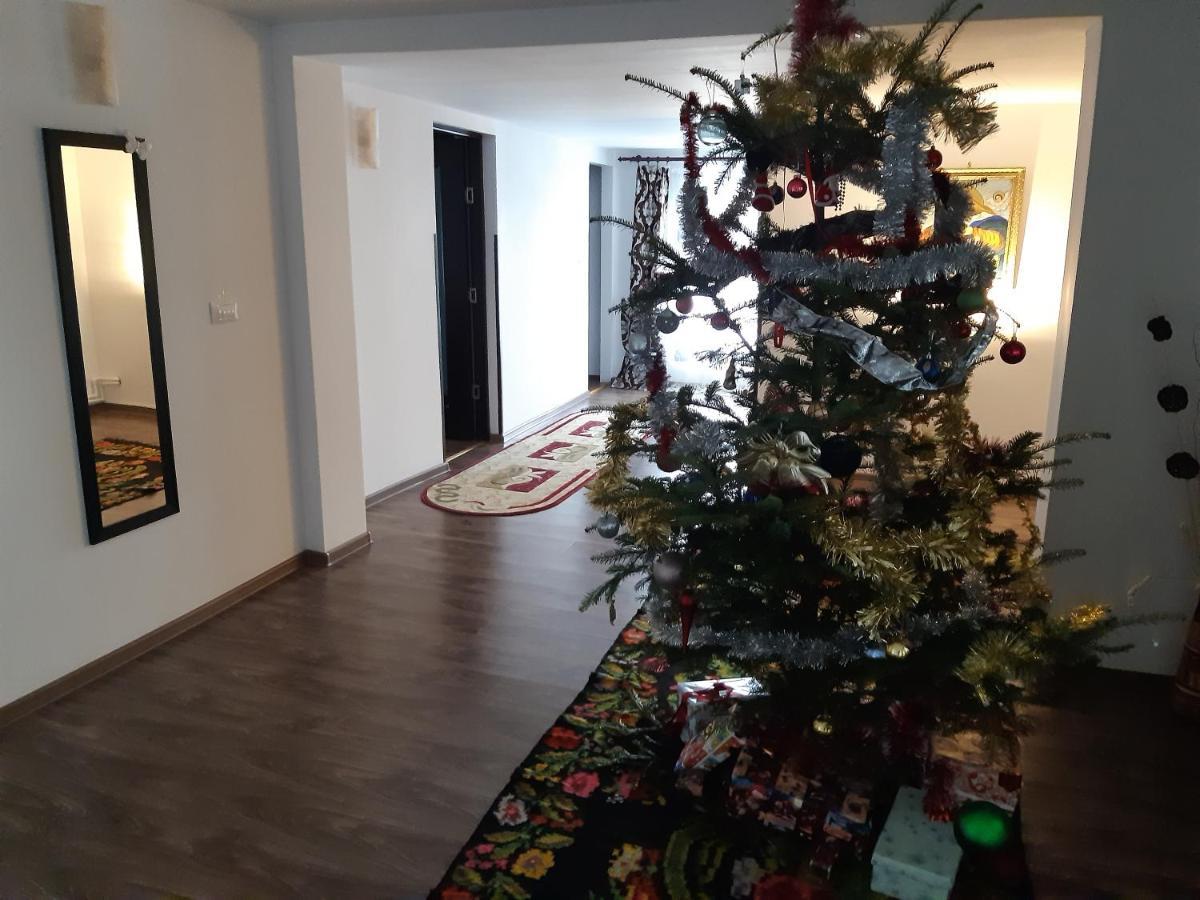 Casa Dintre Pini Villa Păltinoasa Kültér fotó