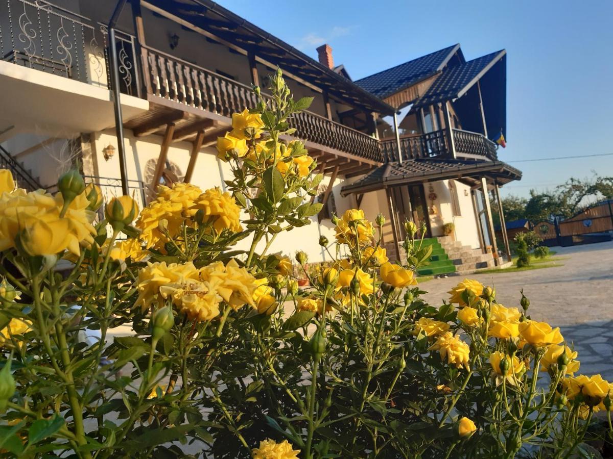 Casa Dintre Pini Villa Păltinoasa Kültér fotó