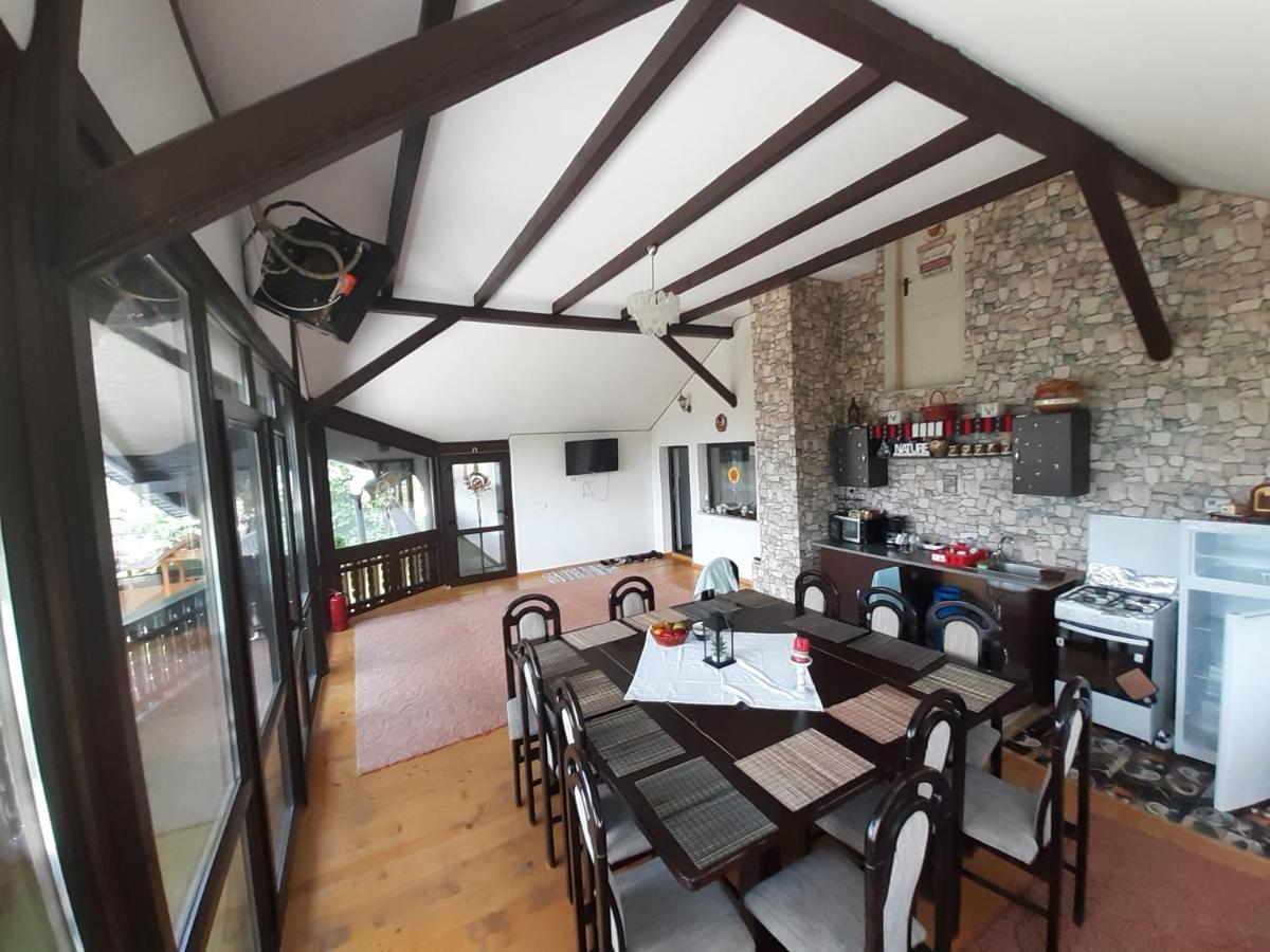 Casa Dintre Pini Villa Păltinoasa Kültér fotó