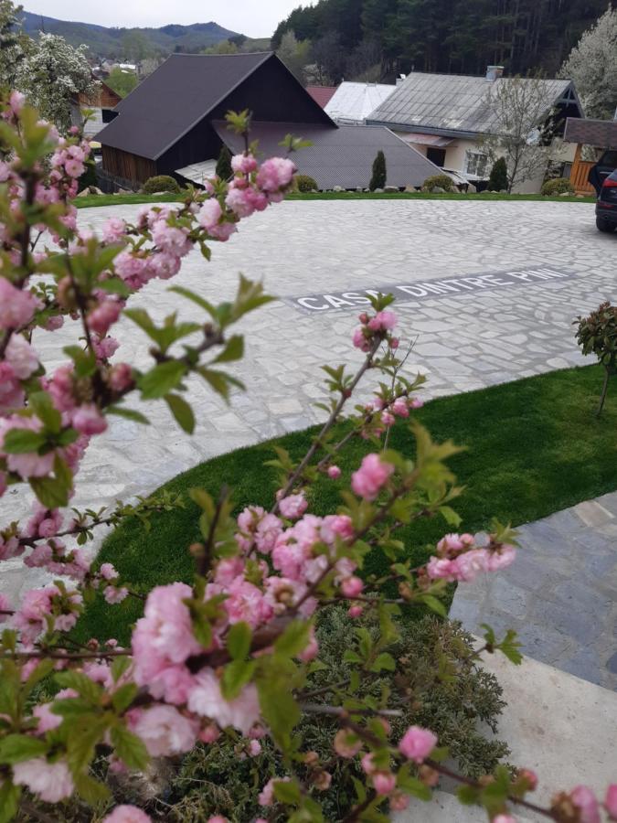 Casa Dintre Pini Villa Păltinoasa Kültér fotó