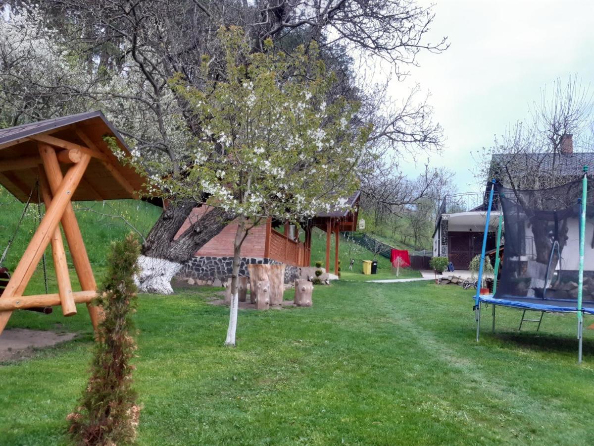 Casa Dintre Pini Villa Păltinoasa Kültér fotó