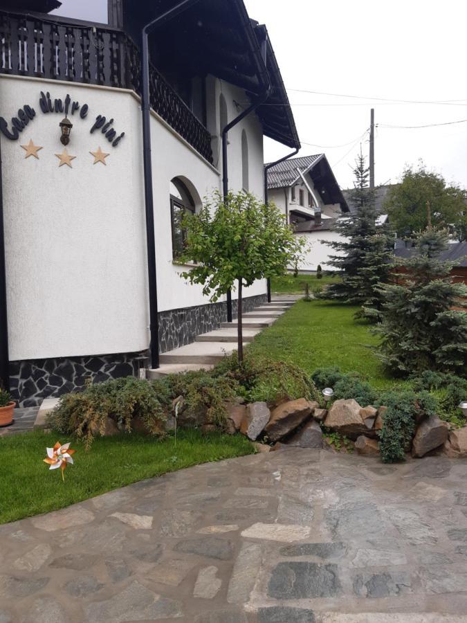 Casa Dintre Pini Villa Păltinoasa Kültér fotó