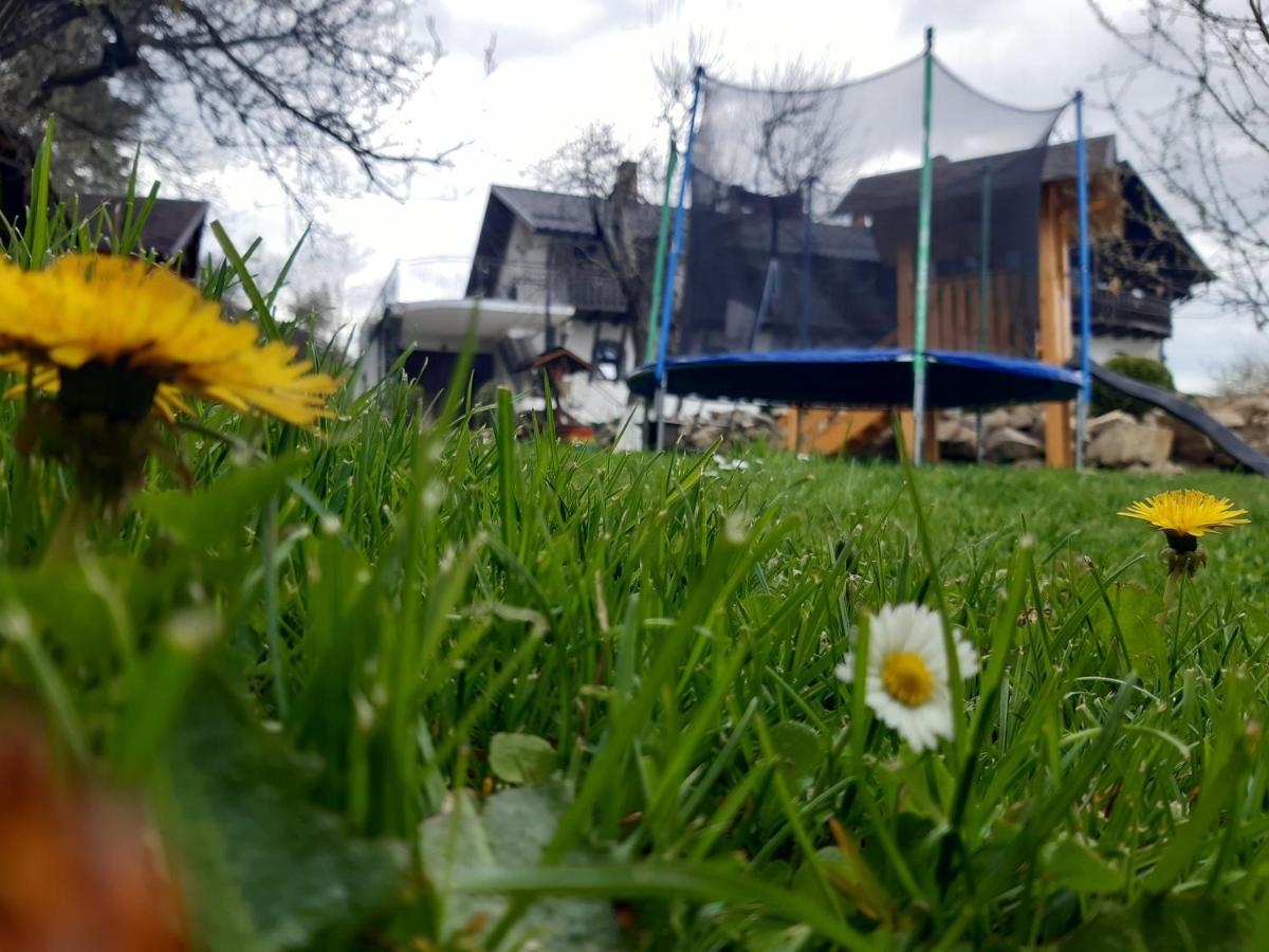 Casa Dintre Pini Villa Păltinoasa Kültér fotó