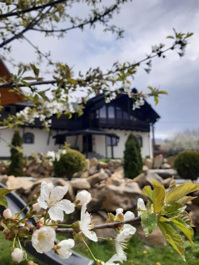 Casa Dintre Pini Villa Păltinoasa Kültér fotó