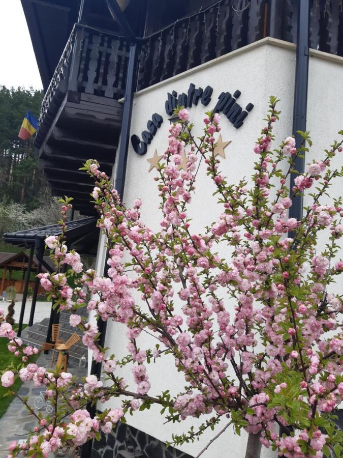 Casa Dintre Pini Villa Păltinoasa Kültér fotó