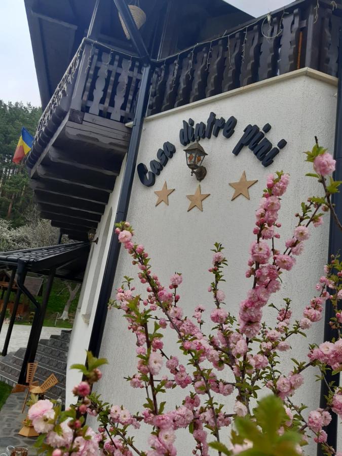 Casa Dintre Pini Villa Păltinoasa Kültér fotó