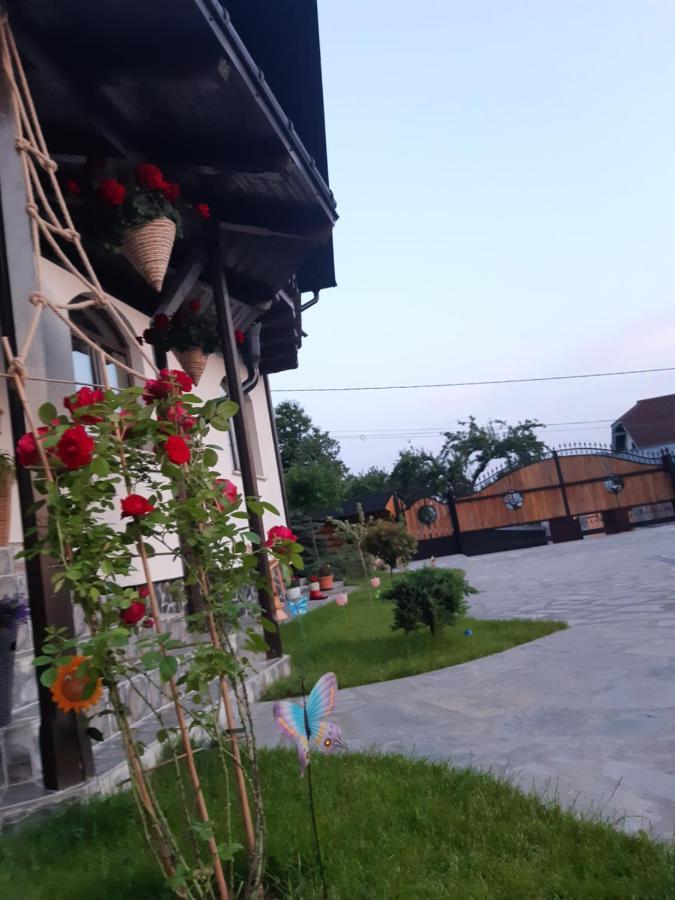 Casa Dintre Pini Villa Păltinoasa Kültér fotó