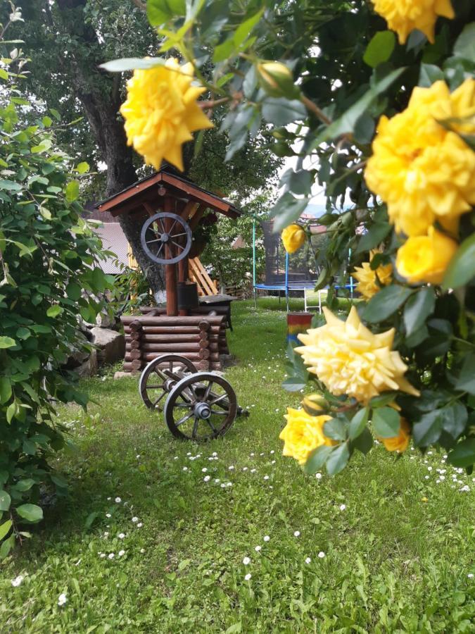 Casa Dintre Pini Villa Păltinoasa Kültér fotó