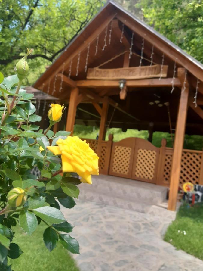 Casa Dintre Pini Villa Păltinoasa Kültér fotó