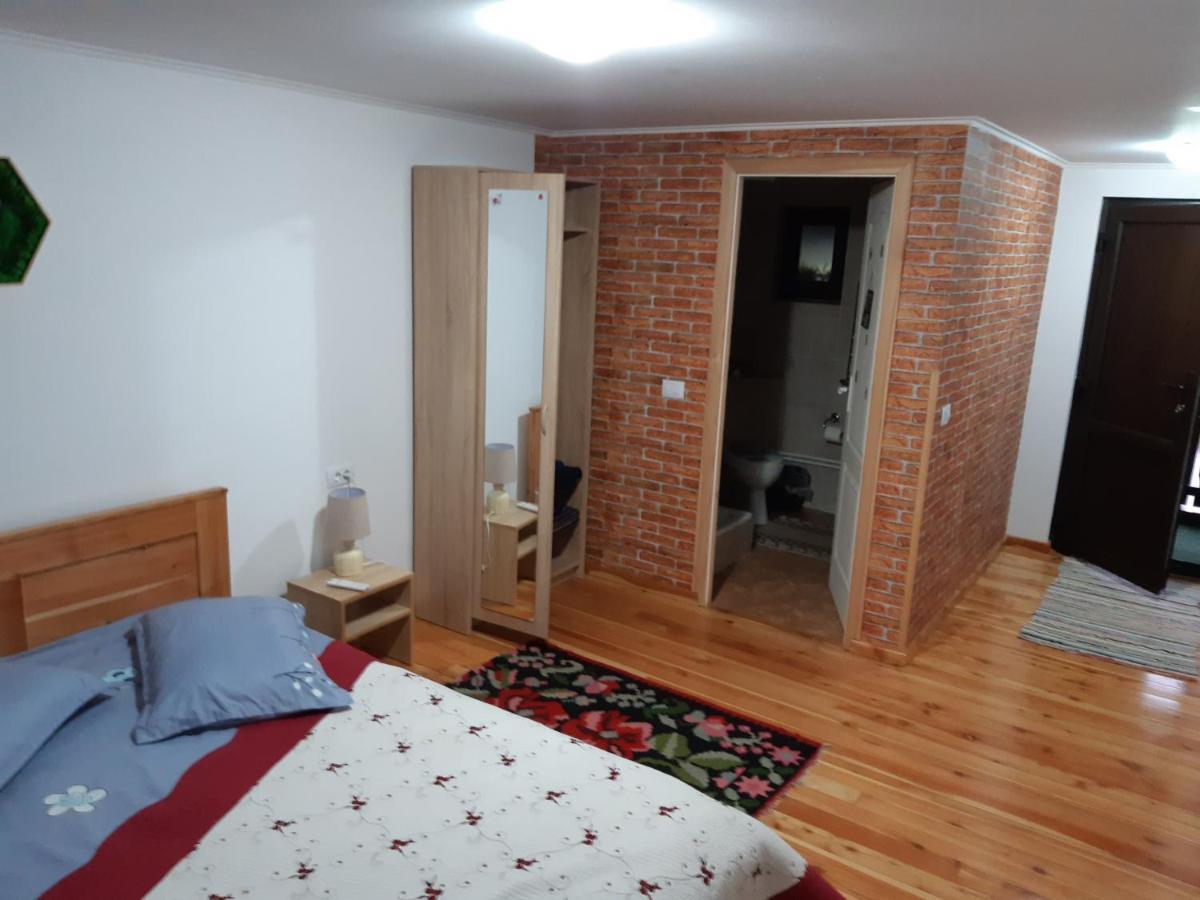 Casa Dintre Pini Villa Păltinoasa Kültér fotó