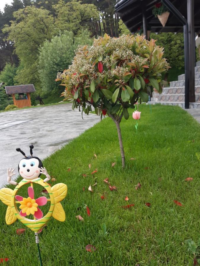 Casa Dintre Pini Villa Păltinoasa Kültér fotó