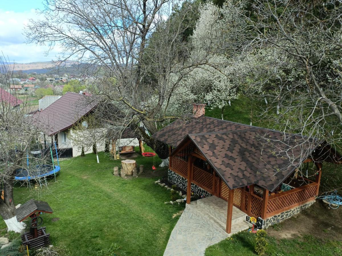 Casa Dintre Pini Villa Păltinoasa Kültér fotó