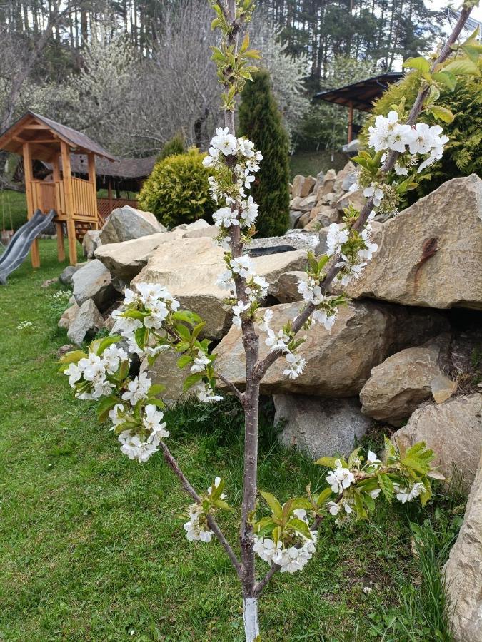 Casa Dintre Pini Villa Păltinoasa Kültér fotó
