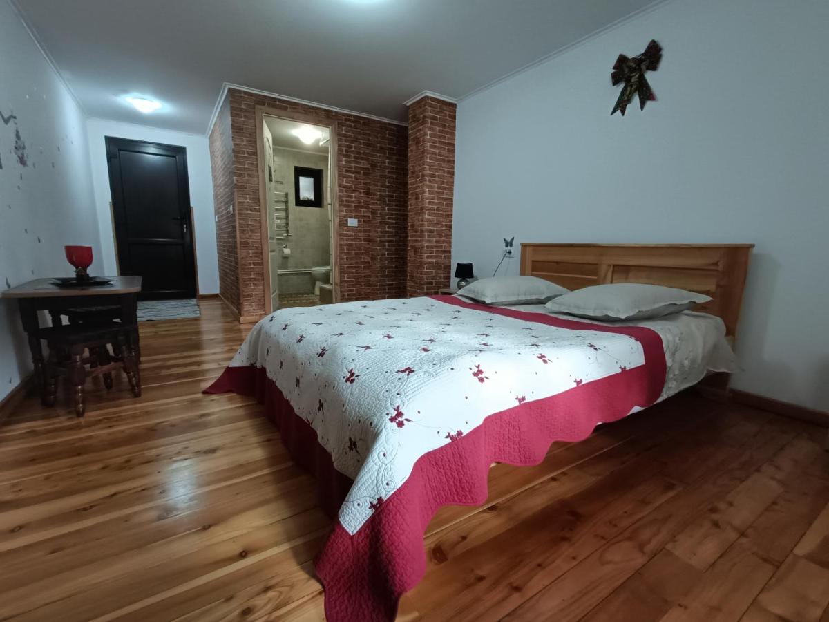 Casa Dintre Pini Villa Păltinoasa Kültér fotó