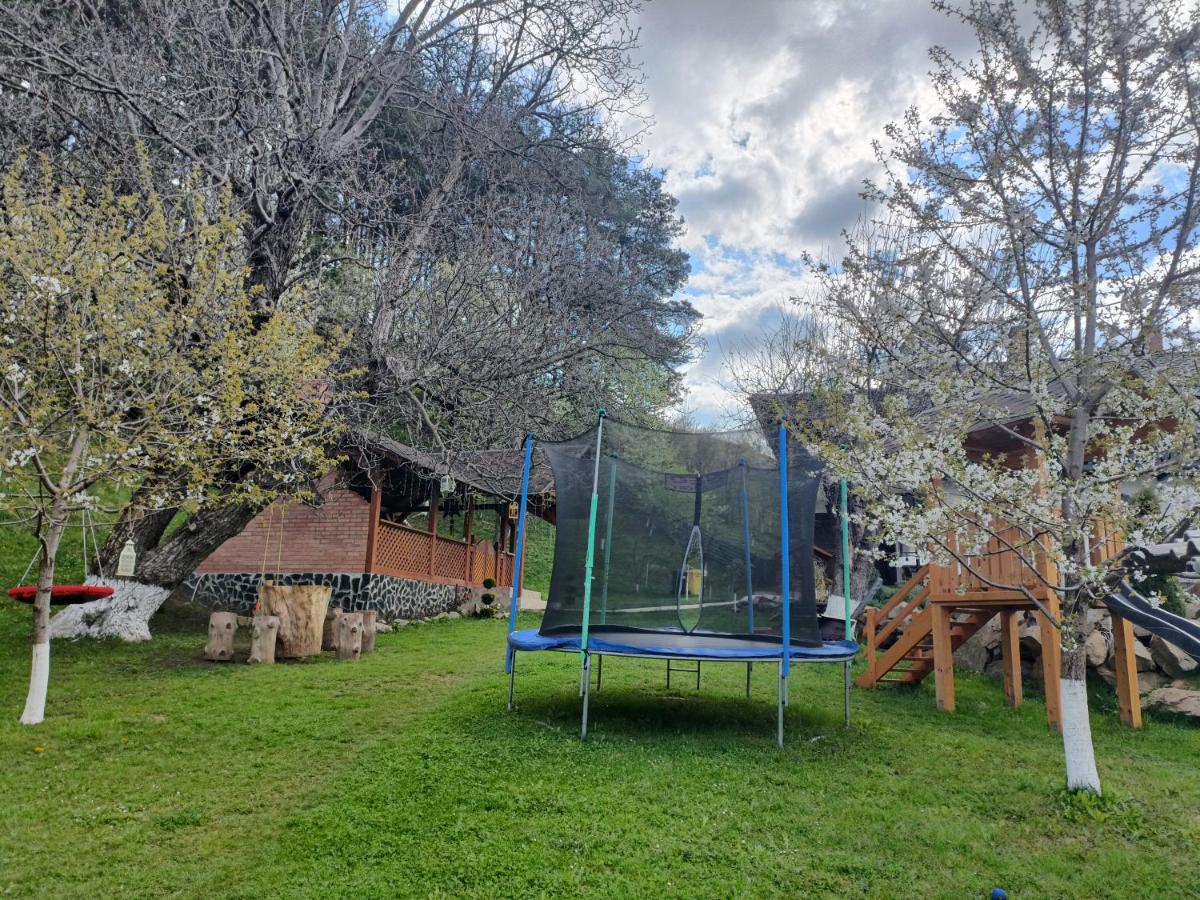 Casa Dintre Pini Villa Păltinoasa Kültér fotó