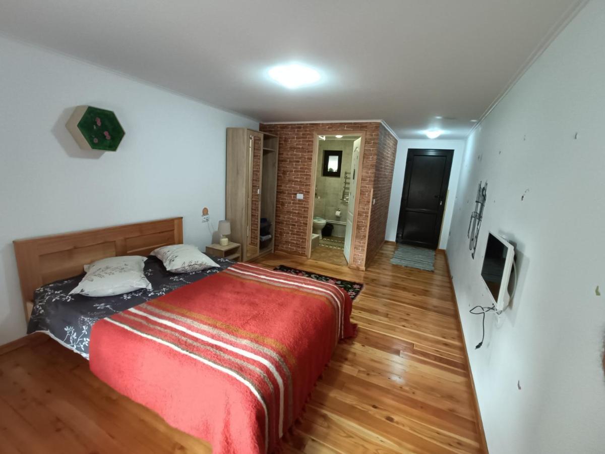 Casa Dintre Pini Villa Păltinoasa Kültér fotó