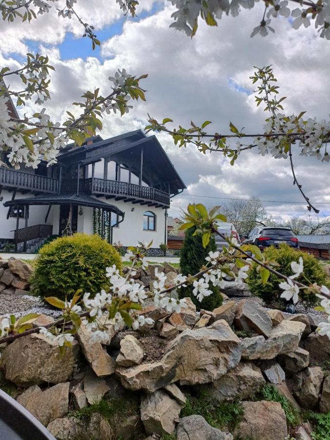 Casa Dintre Pini Villa Păltinoasa Kültér fotó