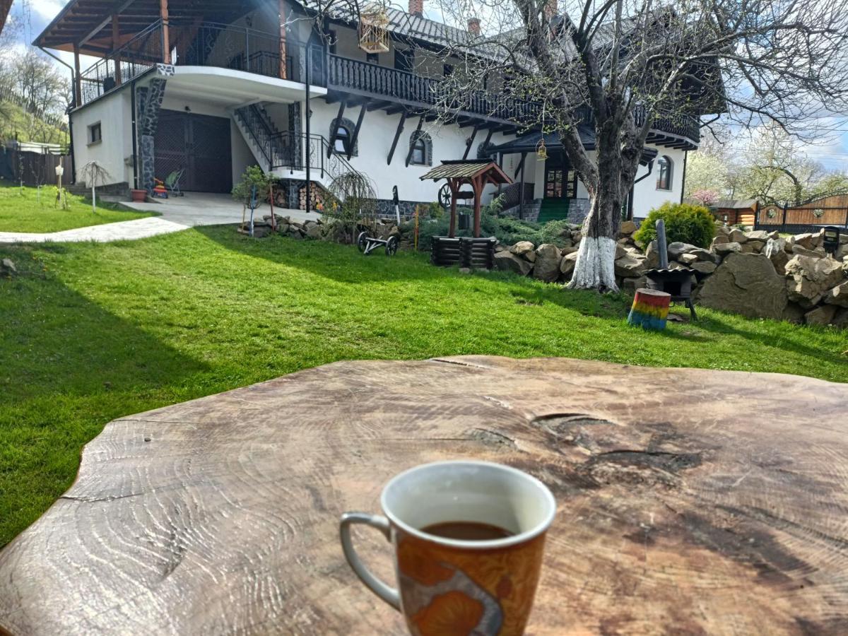 Casa Dintre Pini Villa Păltinoasa Kültér fotó