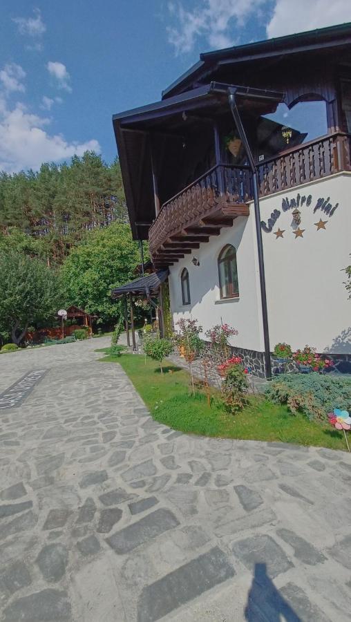 Casa Dintre Pini Villa Păltinoasa Kültér fotó