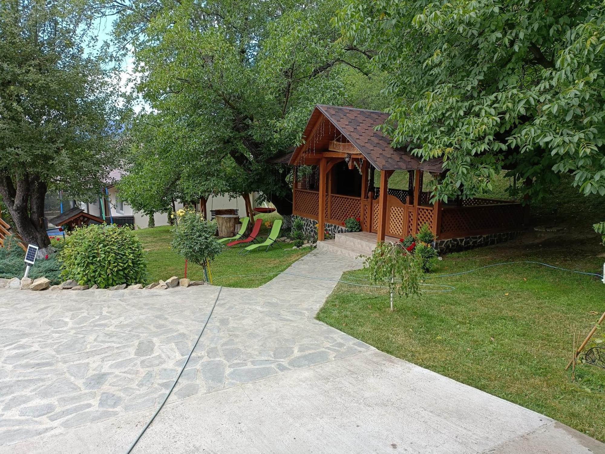 Casa Dintre Pini Villa Păltinoasa Kültér fotó